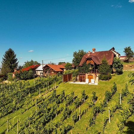 Holiday Home Wine & Relax Sveti Martin Na Muri Gornji Koncovcak Eksteriør bilde