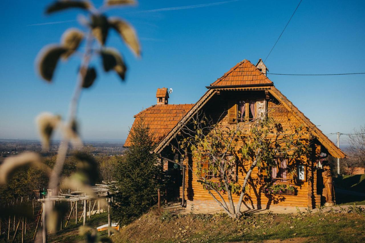 Holiday Home Wine & Relax Sveti Martin Na Muri Gornji Koncovcak Eksteriør bilde
