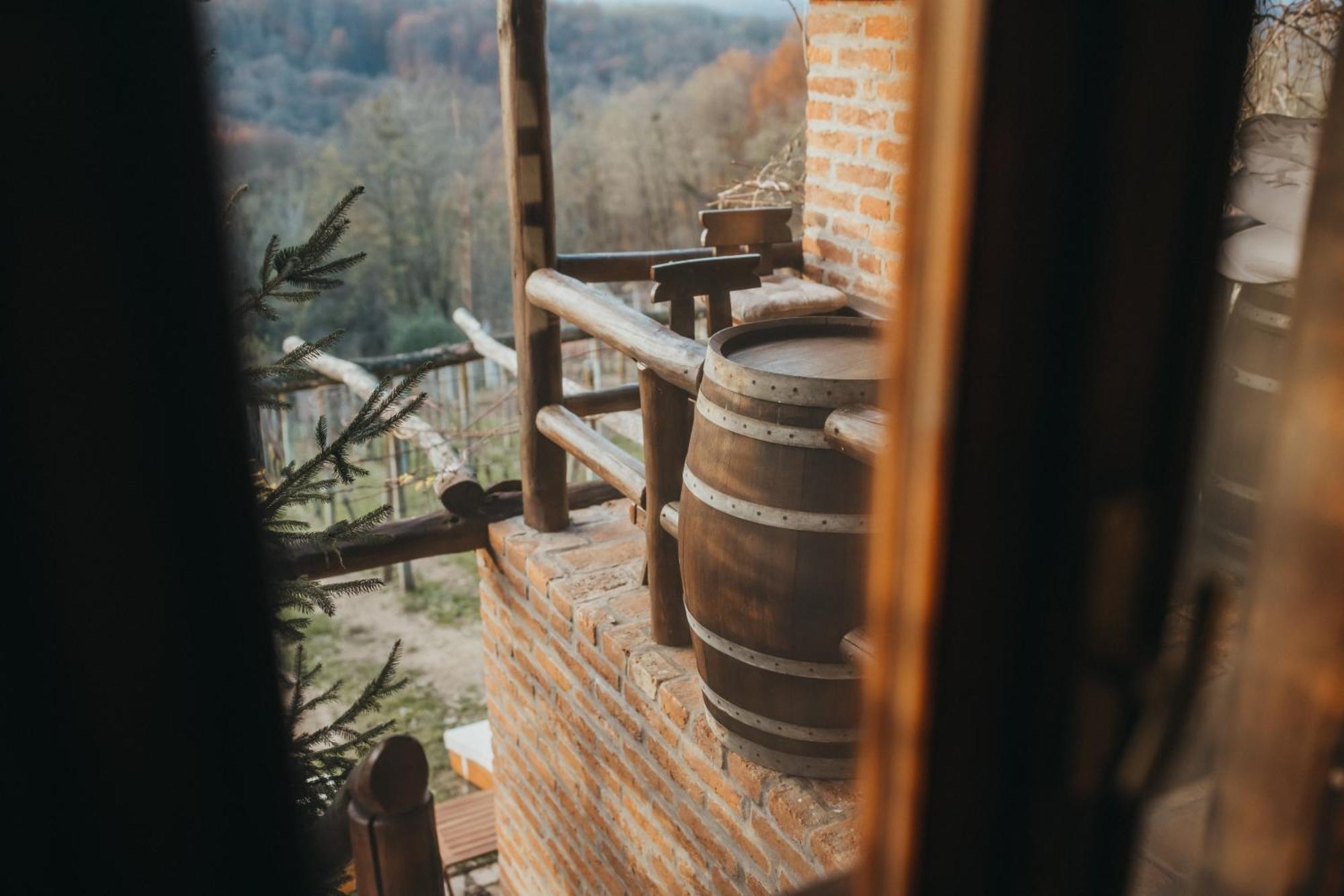Holiday Home Wine & Relax Sveti Martin Na Muri Gornji Koncovcak Eksteriør bilde